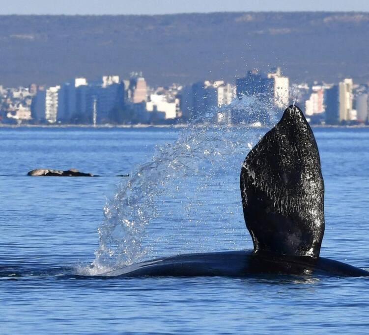 Pequena Casa De Troncos, Detras De Casa Principal No Trabajo Con Tarjeta De Credito Puerto Madryn Exteriér fotografie
